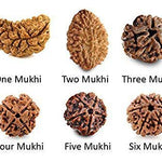Energized Rudraksha - Original & Lab Tested