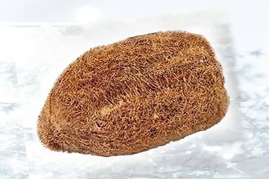 Ekakshi Nariyal, One Eyed Coconut Original & Energized for Power, Prosperity and Wealth