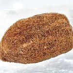 Ekakshi Nariyal, One Eyed Coconut Original & Energized for Power, Prosperity and Wealth