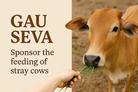 Gau Seva – Feed Rescued & Sacred Cows for Divine Blessings