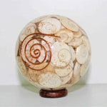 Gomti Chakra Ball