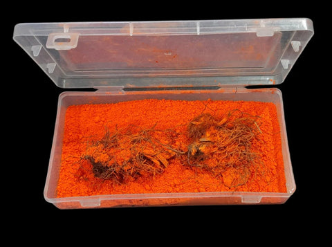 Authentic Siddh Jatashankar Hatha Jodi