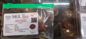 Energized Rudraksha - Original & Lab Tested
