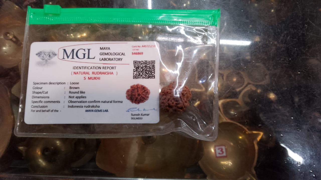 Energized Rudraksha - Original & Lab Tested