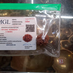 Energized Rudraksha - Original & Lab Tested