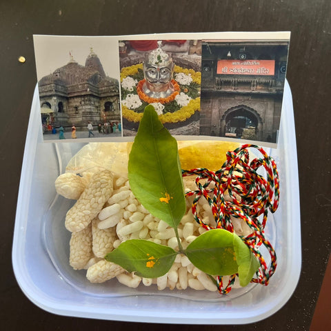 Trimbakeshwar Prasad