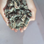 Organic Raw Dried Amla Pack for Hairs - Raw Form