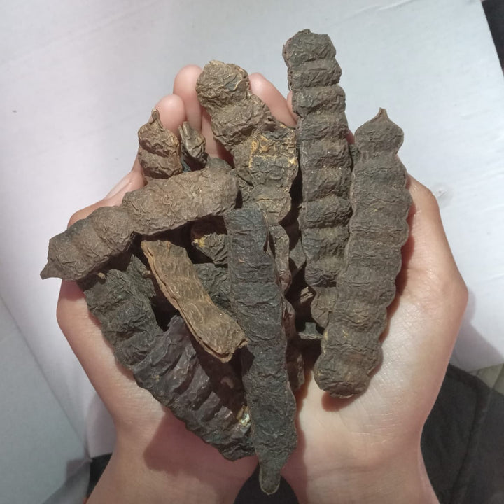 Organic Dried Raw Shikakai Pack for Hairs - Raw Form
