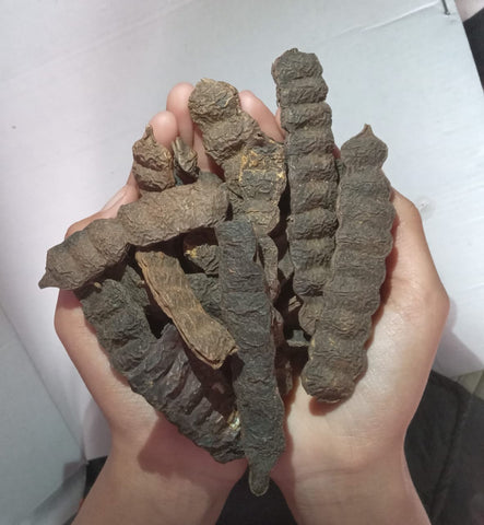 Organic Dried Raw Shikakai Pack for Hairs - Raw Form