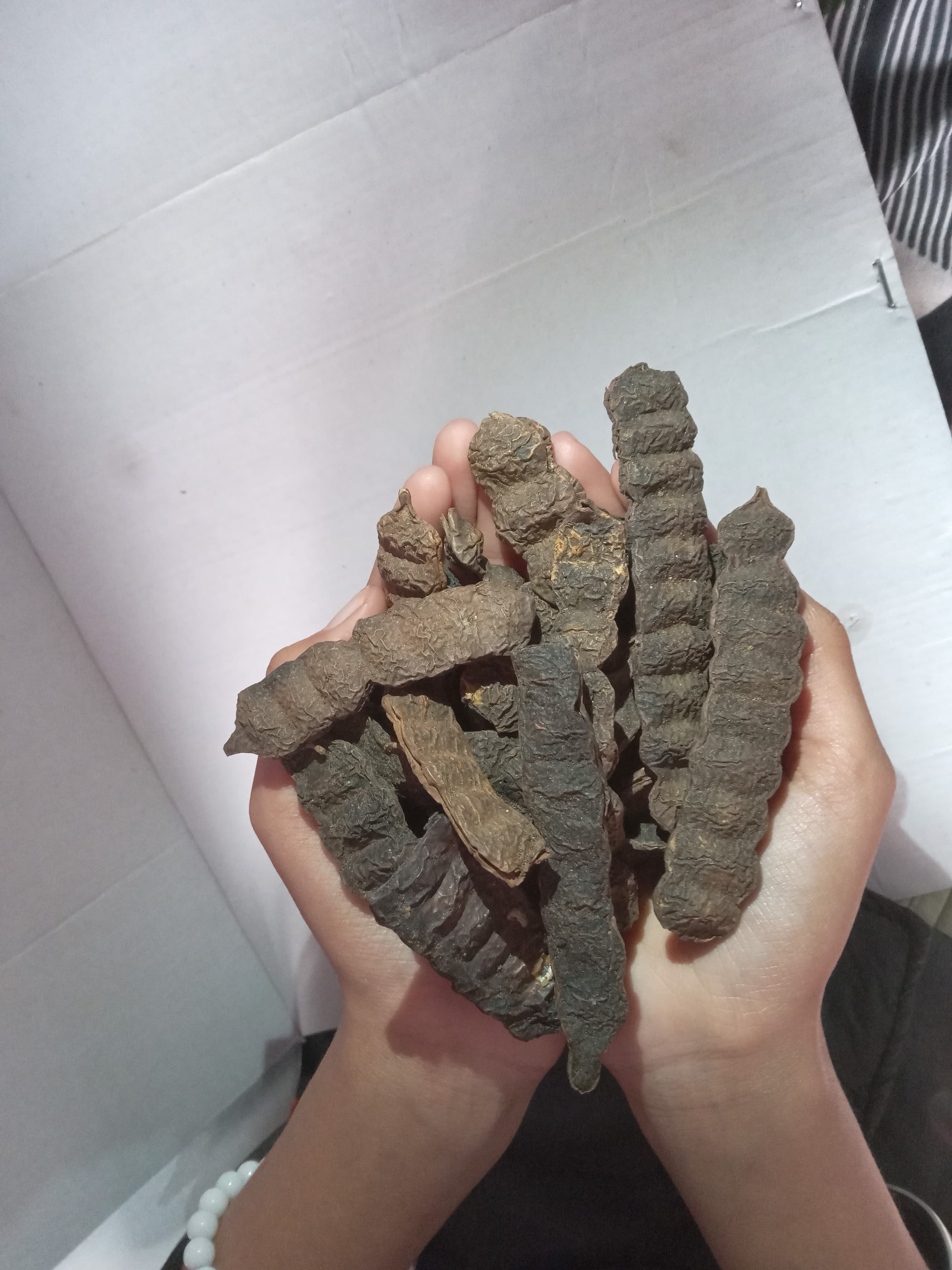 Organic Dried Raw Shikakai Pack for Hairs - Raw Form