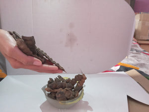 Organic Dried Raw Shikakai Pack for Hairs - Raw Form