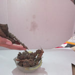 Organic Dried Raw Shikakai Pack for Hairs - Raw Form