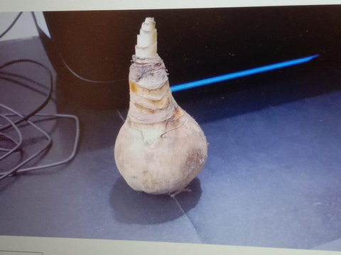 Unlock Prosperity with Kuber Handi!