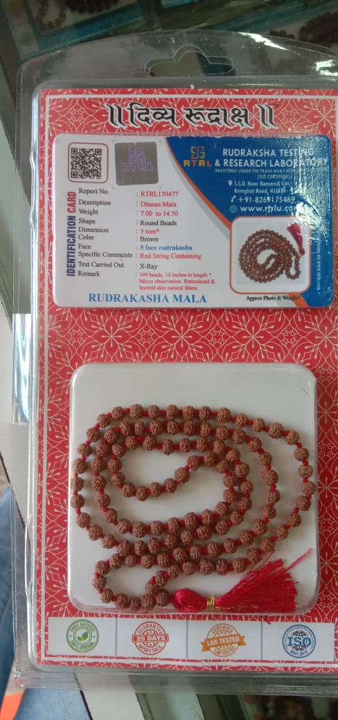 Original Energized 5 Mukhi Rudraksh Mala (108+1 Beads) for Shiva Worship, Meditation & Protection