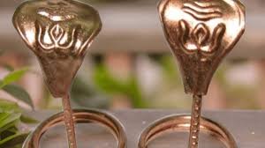 Copper Naag Naagin- Energized