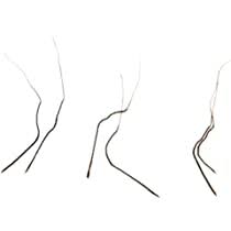 Raj Mohini Jadi for Vashikaran / असली राज मोहिनी जड़ी.