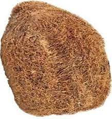 Ekakshi Nariyal, One Eyed Coconut Original & Energized for Power, Prosperity and Wealth