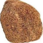 Ekakshi Nariyal, One Eyed Coconut Original & Energized for Power, Prosperity and Wealth