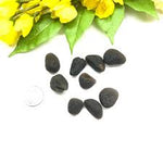 Discover the Magic of Saffordite Chintamani Stone!