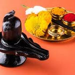 Sawan Pooja Samagri