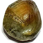Original & Energized Machh Mani Stone