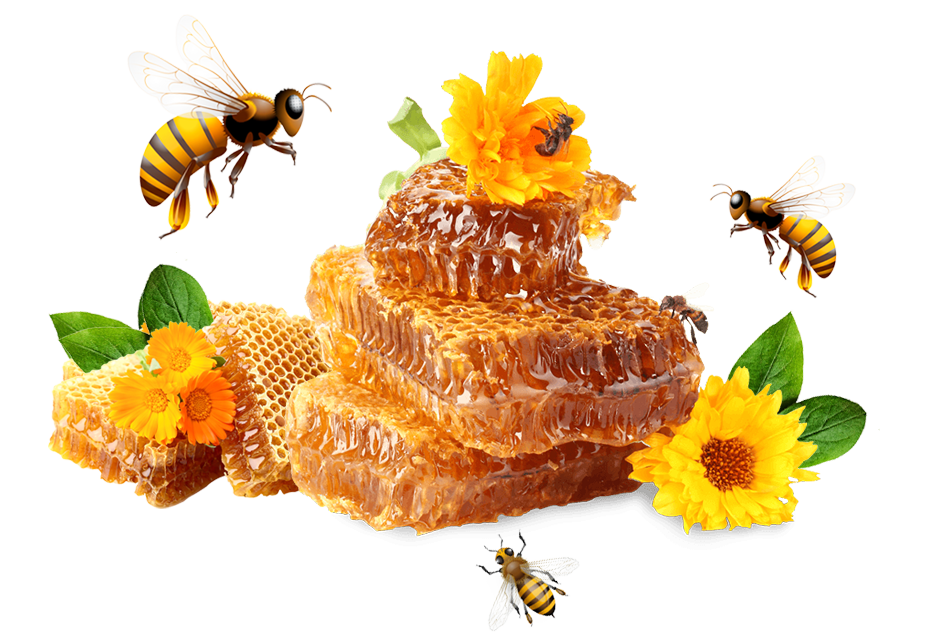 Wild Honey