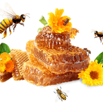 Wild Honey
