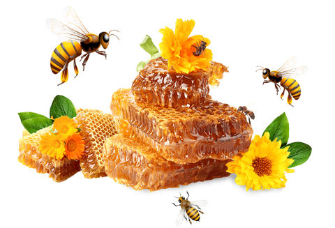 Honey (Wild Honey)