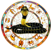 Kaal Sarp Dosh Nivaran Puja (Samanya Puja)