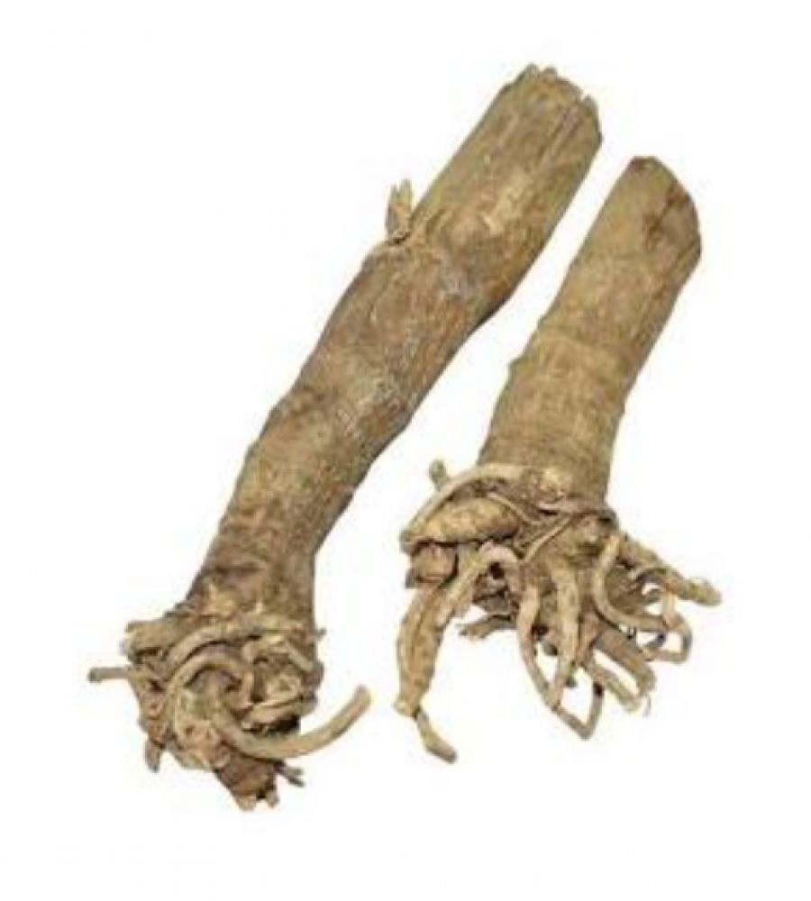 Safed Aak ki Jad /Safed Madar ki Jad /Powerful Energized white Aak root 100gm