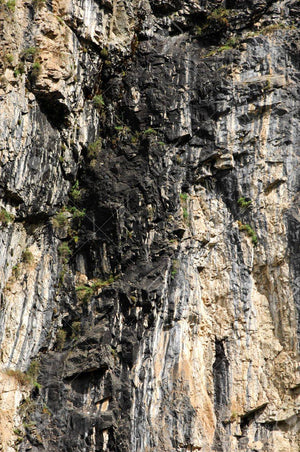 Original Shilajit - from the Mountains of Satpura Reserve Forest