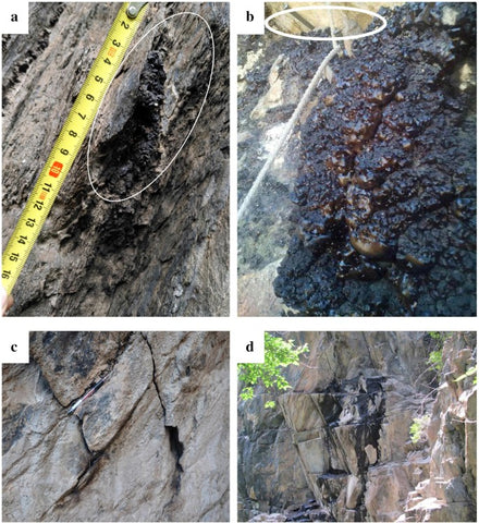 Original Shilajit - from the Mountains of Satpura Reserve Forest