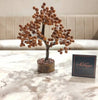Energized Rudraksha Tree - Blessings of Lord Shiva for Prosperity and Well-being