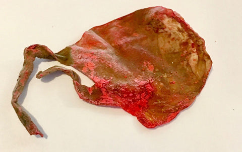 Billi ki Jer / Billi ki Naal - Energized and powerful( 1 p )